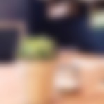 kaboompics.com_Plant